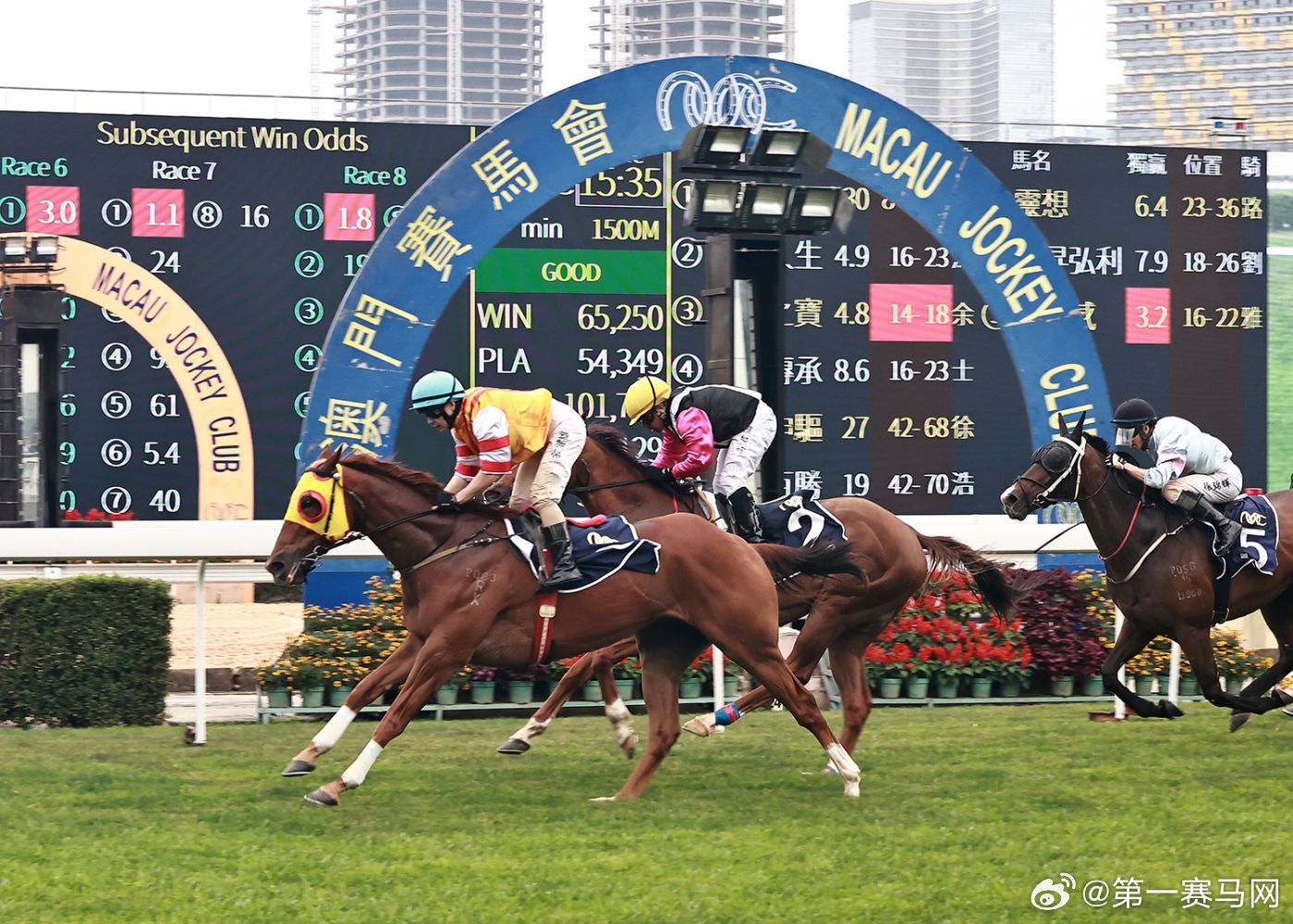 香港内部马料免费资料亮点,香港内部马料免费资料亮点，深度探索与发现