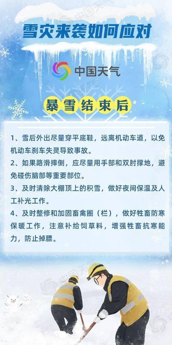 新奥门特免费资料大全198期,新奥门特免费资料大全198期，深度探索与预测分析