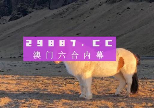 澳门一肖一码准确100%,澳门一肖一码准确100%的预测与探索