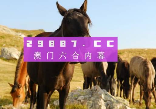 澳门一肖一码100管家婆9995,澳门一肖一码与管家婆9995，探索背后的秘密