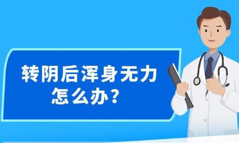 新澳精准资料,新澳精准资料，探索其背后的力量与价值