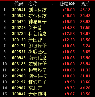 2025十二生肖49个码,十二生肖与彩票密码，探寻2025年49个码背后的神秘联系