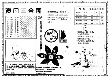 8383848484管家婆中特,探索神秘的数字组合，深入理解管家婆中特与数字8383848484的魅力