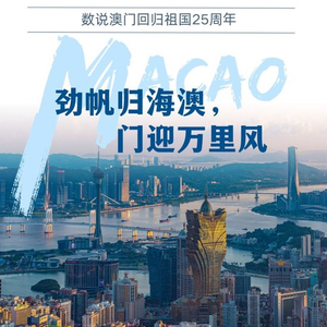 2025澳门精准正版图库,澳门正版图库，探索未来的视觉盛宴（2025展望）