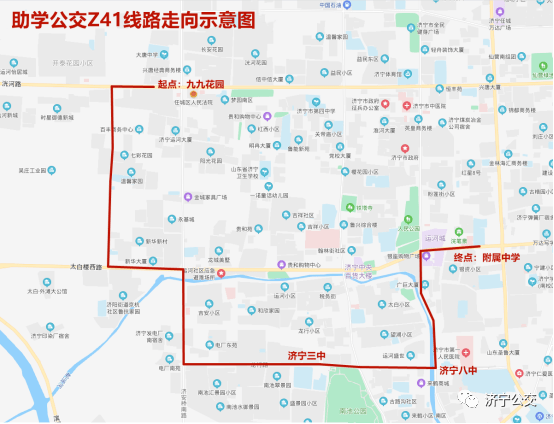 今晚特马开27号085期 03-04-07-26-44-49Y：41,今晚特马开27号085期，探索数字背后的神秘与期待