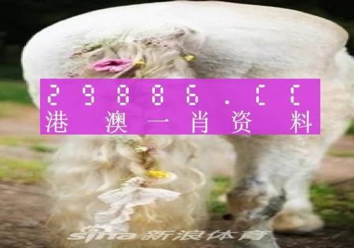 澳门平特一肖100%准资手机版下载058期 02-05-07-16-24-29B：39,澳门平特一肖100%准资手机版下载，探索与解析第058期 02-05-07-16-24-29B，39